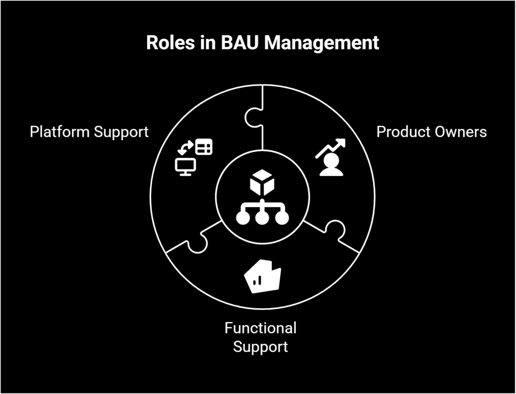 Business as Usual Framework